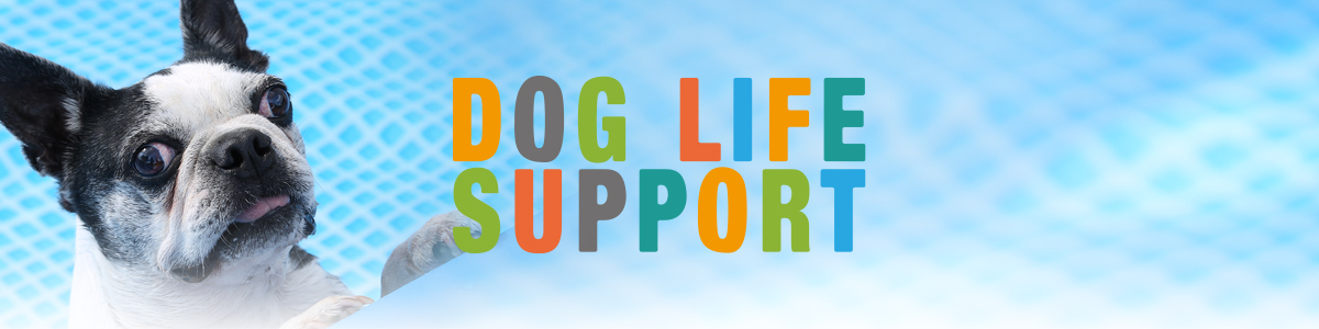 DOG LIFE SUPPORT | ドッグライフサポート | 群馬県 | 伊勢崎市 | ドッグラン