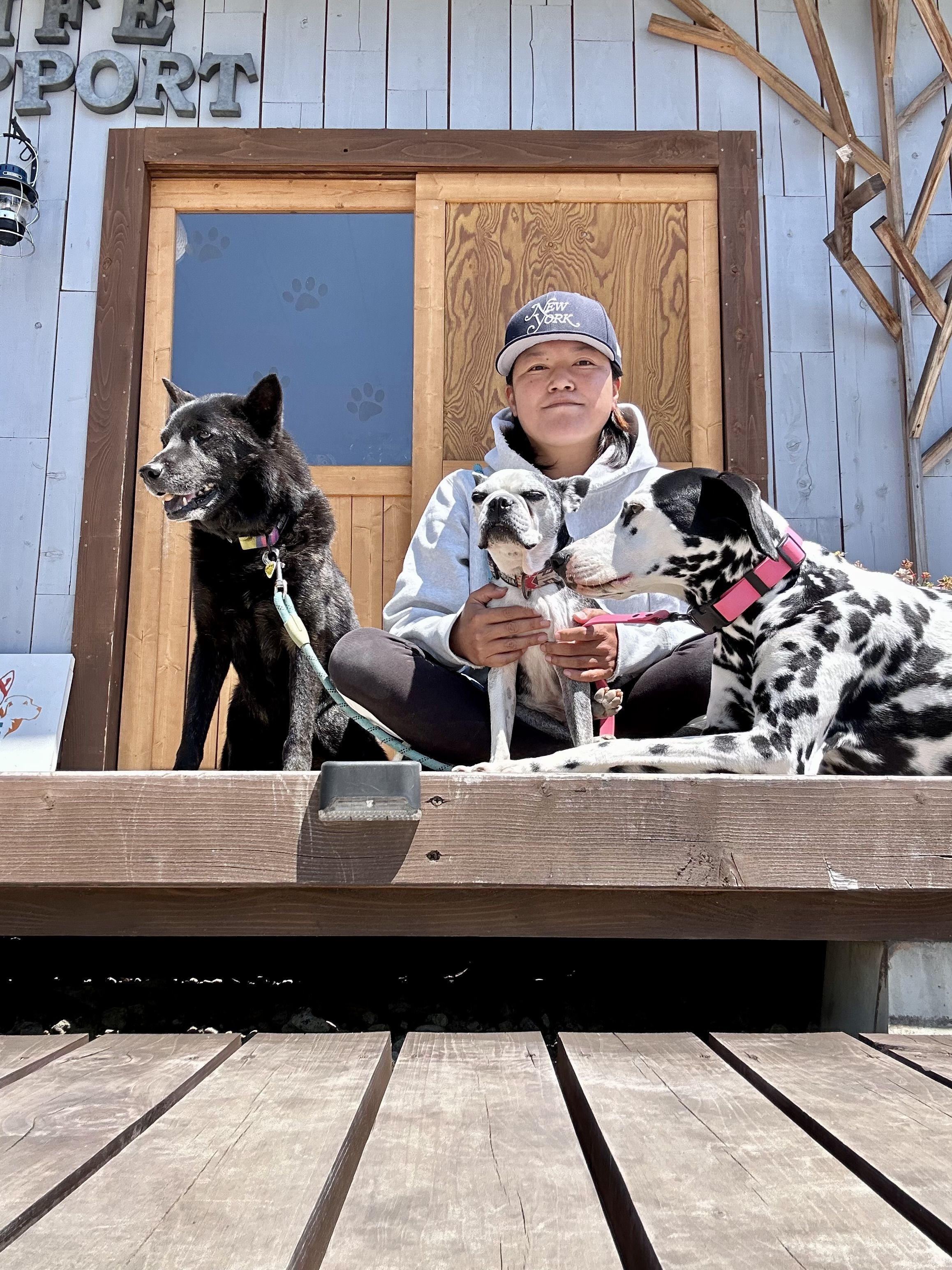 DOG LIFE SUPPORT | ドッグライフサポート | 群馬県 | 伊勢崎市 | ドッグラン